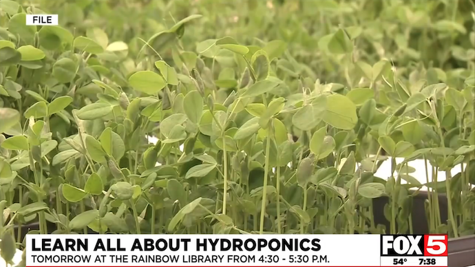 Learn All About Hydroponics